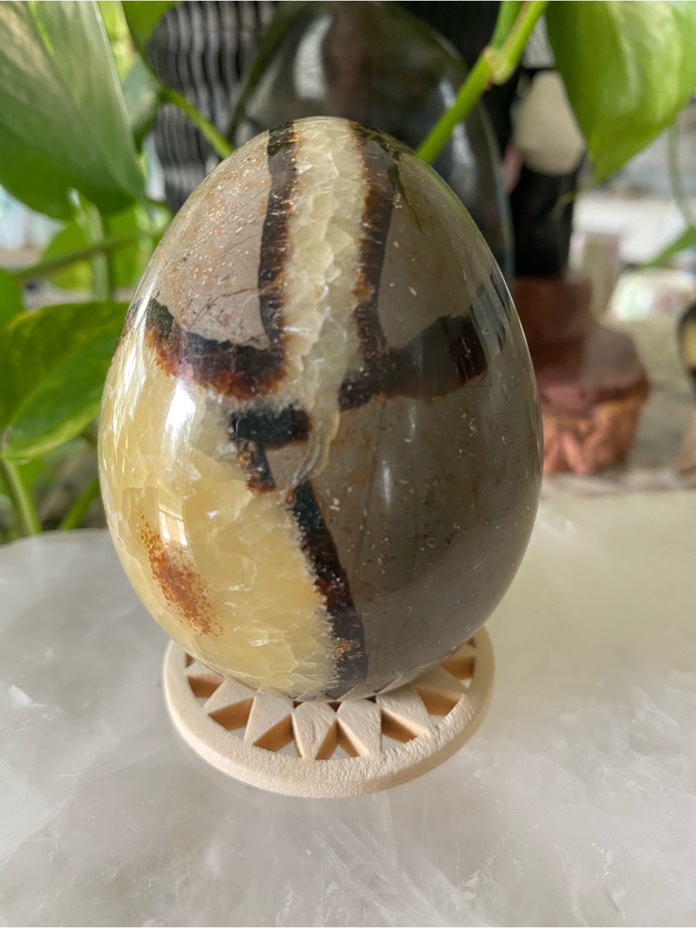 💛🖤💜 UV-REACTIVE SEPTARIAN EGGS 💜🖤💛